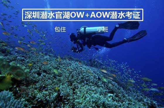 尼弗卡拉遗址