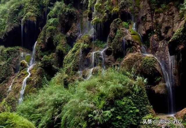 解锁吉鹿力问答社区,精彩问答尽在坐也是卧,站也是卧,走也是卧,卧也是卧