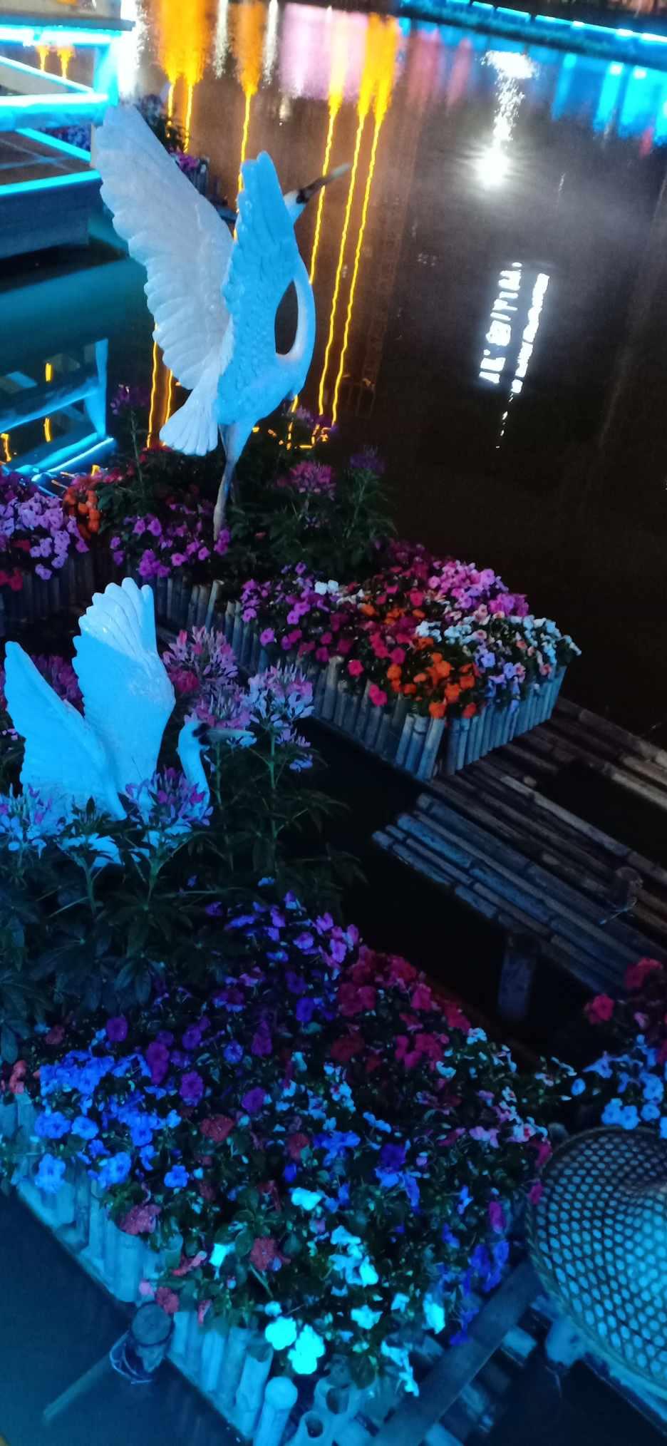贵阳市防寒物资储备充足，“菜篮子”供应稳定